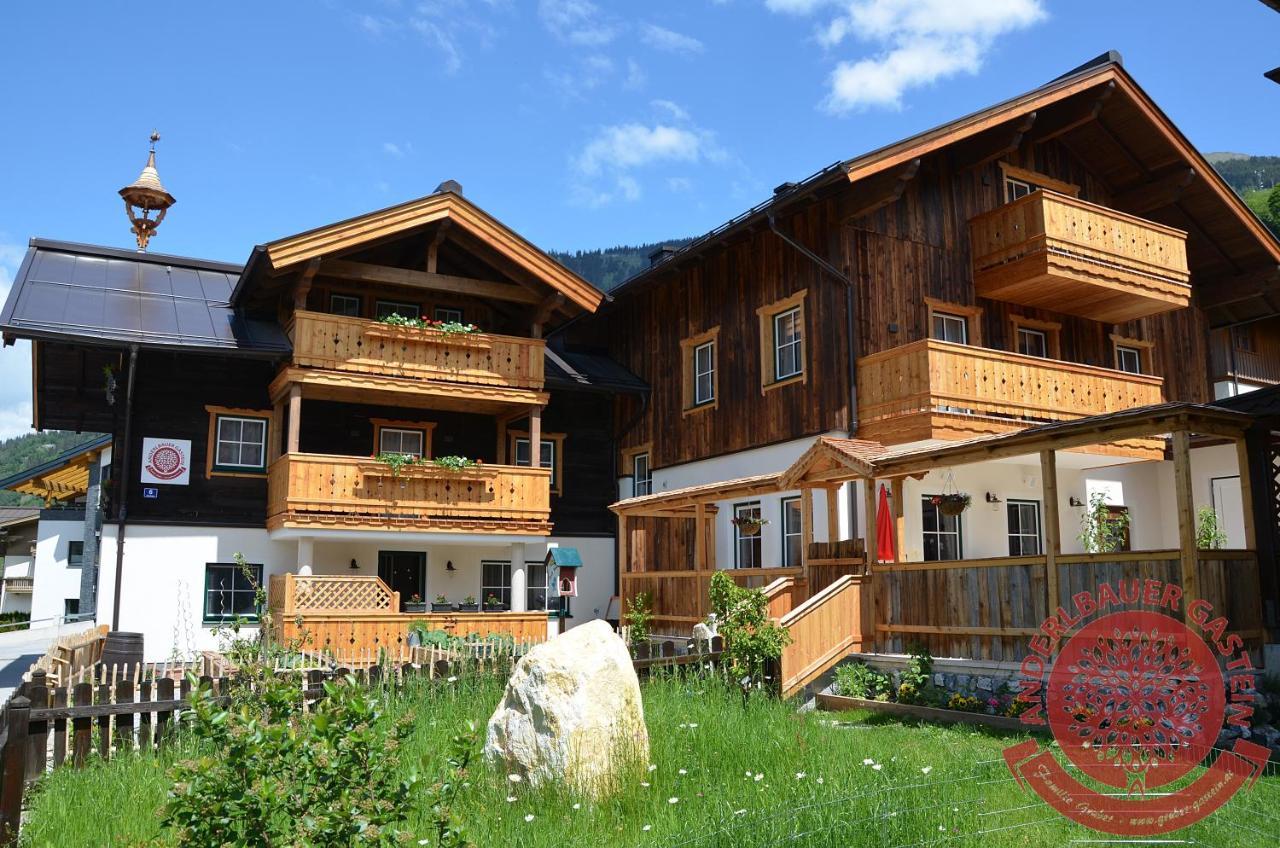 Anderlbauer Apartment Dorfgastein